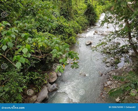 water flowing   river stock photo image  woodland