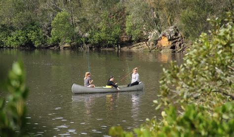 Berowra Valley National Park | NSW National Parks