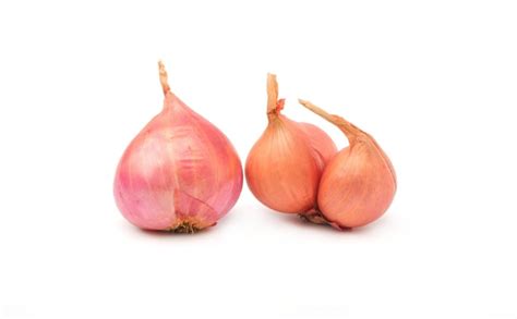 Premium Photo Shallot Onions Isolated In Group Small Red On White