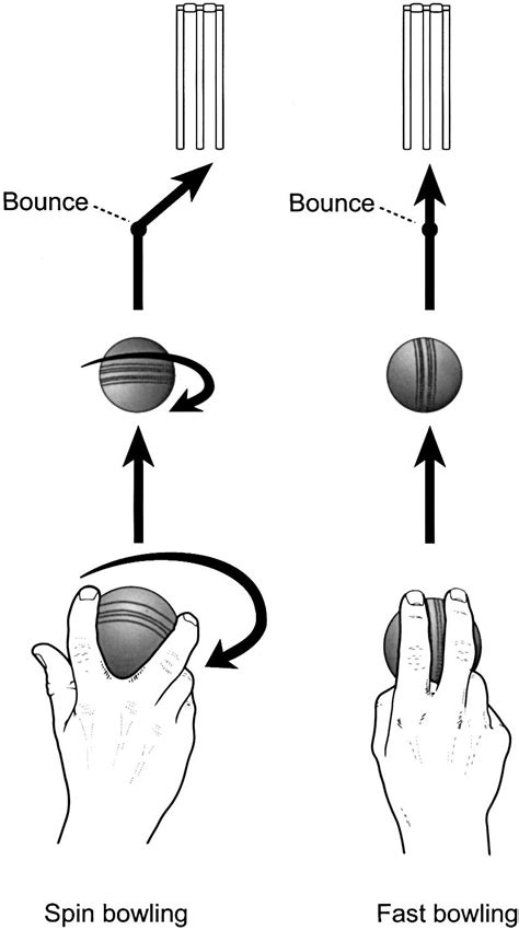 Diagram Showing Fundamental Difference Between Method Of Spin Bowling