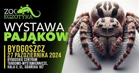 Bilety na WYSTAWA PAJĄKÓW Bydgoszcz Bydgoszcz