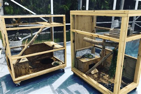 How To Make An Iguana Cage