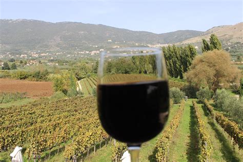 Le Città del Vino Cesanese e dell Acqua che rompe la roccia Benvenuti