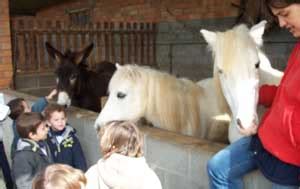 Sortida Granja Les Tanques Llar D Infants La Baldufa