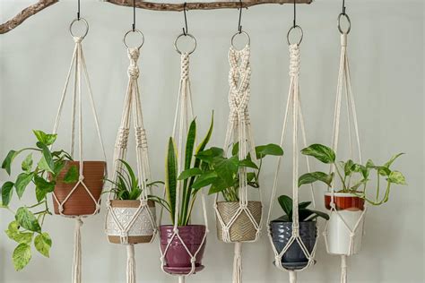 Best Ceiling Hooks For Hanging Plants