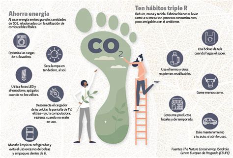 15 Sencillas Maneras Para Limpiar Tu Huella De Carbono Personal Grupo