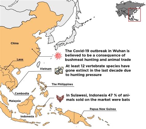 Bushmeat Trade Map