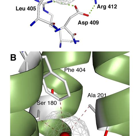 Views Of The Tripartite Assembly Of An Efflux Pump A The Schematic