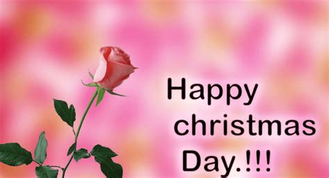 Happy Christmas Day Quotes - Christmas Quotes For 2021