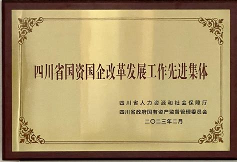 四川省国有资产经营投资管理有限责任公司公司要闻省国经公司获评全省国资国企改革发展工作先进集体和先进个人