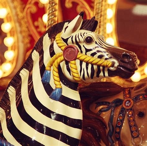 Carousel Zebra at the Fair