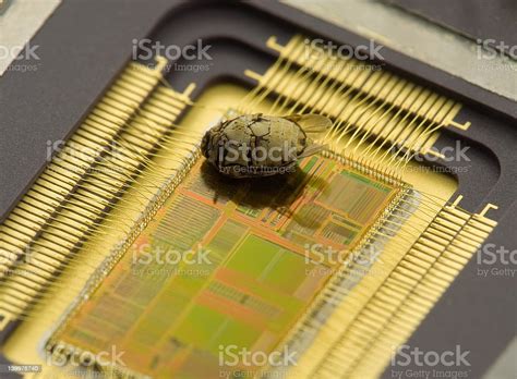 Chips Bug Stock Photo - Download Image Now - Buried, Computer, Order ...