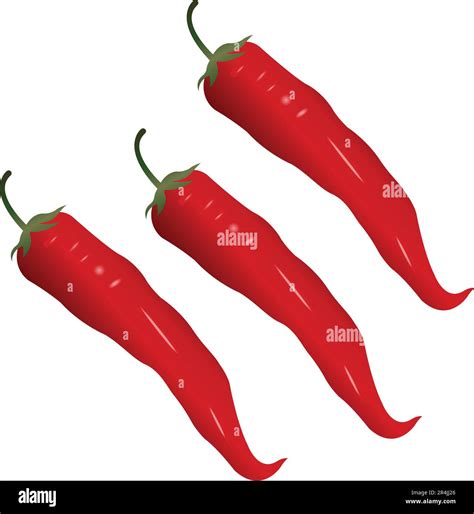 Capsicum Chilli Chili Chillies Vector Illustration Stock Vector