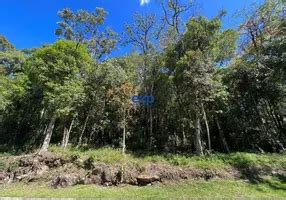 Im Veis Venda Em Parque Das Orquideas Gramado Por Imobili Rias E