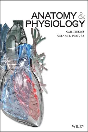 PDF Anatomy And Physiology By Gail Jenkins EBook Perlego