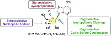 Stereo And Regio Selective Synthesis Of 3 C Substituted N