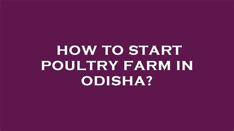 How To Start Poultry Farm In Odisha YouTube