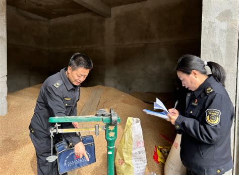 甘肃省漳县市场监管局开展粮食购销领域计量器具检定工作 中国质量新闻网