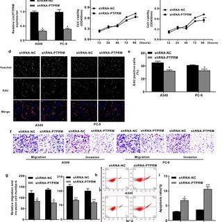 Downregulation Of Circptprm Inhibited Cell Proliferation Migration