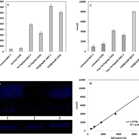 A Caspase 37 Activity Of Mcf 7 And T47d Cell Lines After Exposure To Download Scientific