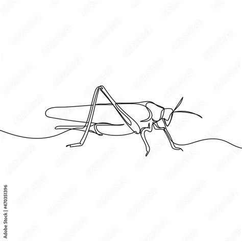 Vector continuous one single line drawing icon of grasshopper in silhouette sketch on white ...