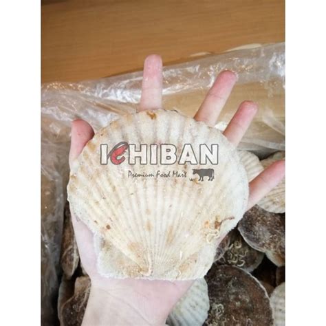 Premium Frozen Hokkaido Hotate 1kg Air Flown Omakase Grade Shopee