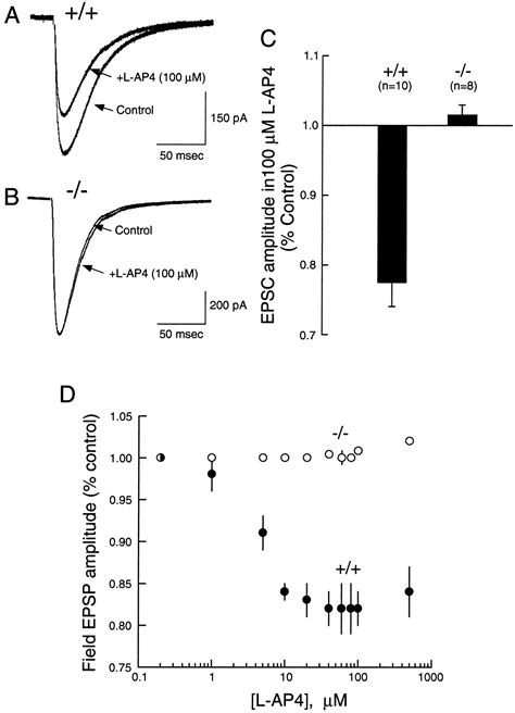 Impaired Cerebellar Synaptic Plasticity And Motor Performance In Mice