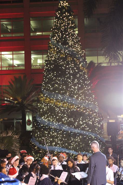 Rotary Gets Into Festive Spirit With Tree Lighting Cayman Compass