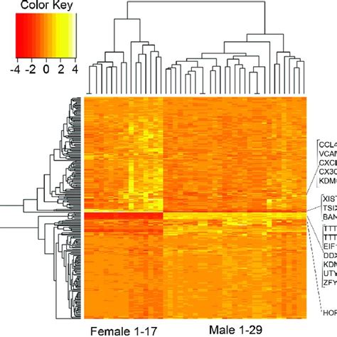 Differentially Expressed Genes Heat Map Heat Map Showing Download Scientific Diagram