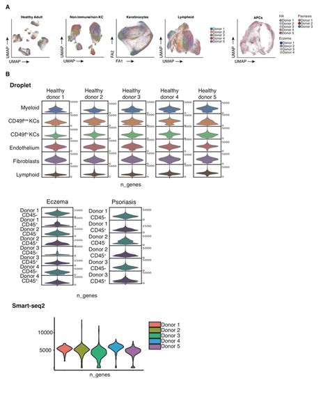 Fig S2 Single Cell Rna Seq Quality Control Download Scientific Diagram