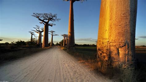 Wallpaper Temple Sunlight Landscape Sunset Sea Nature Road