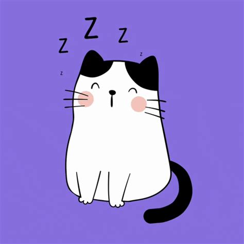 Cute Cat Sleeping GIF