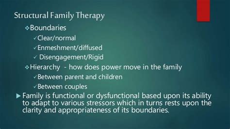 Structural Family Therapy