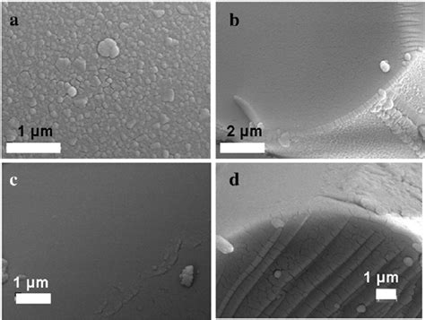 SEM Images Of The Surfaces And Cross Sections Of The ZrO 2 Coated