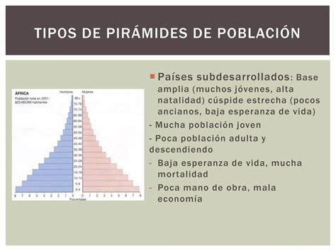 Estructura de la población PPT Descarga Gratuita