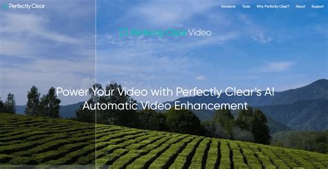 perfectly clear ai marketplace