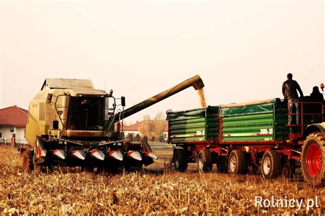 Rokietnickie żniwa kukurydziane czyli Claas Mega 360 oraz Claas Arion