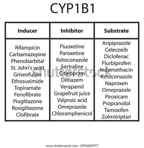 Cytochrome Cyp B Table Inhibitors Inducers Substrates Stock Vector