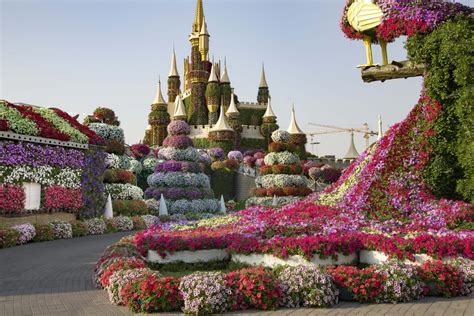 Dubai Miracle Garden To Reopen This Weekend Entry Prices Updated My