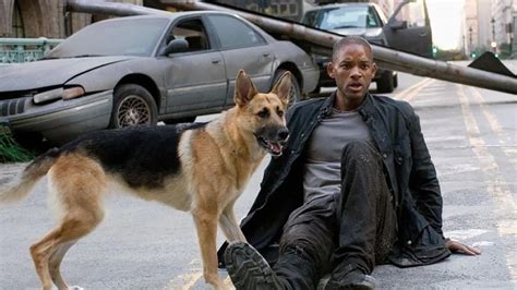 I Am Legend 2 Everything We Know So Far About The Sequel Starring Will