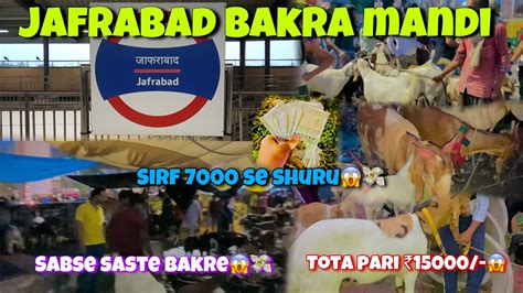 June Jafrabad Bakra Mandi Update Sabse Saste Bakre