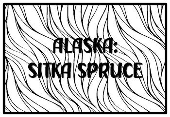 ALASKA: SITKA SPRUCE, State Tree Coloring Pages by Anisha Sharma