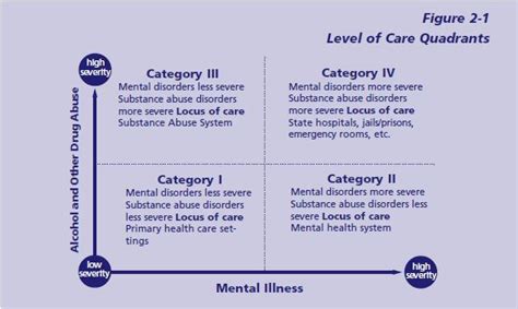 Chapter 2 Definitions Terms And Classification Systems For Co Occurring Disorders