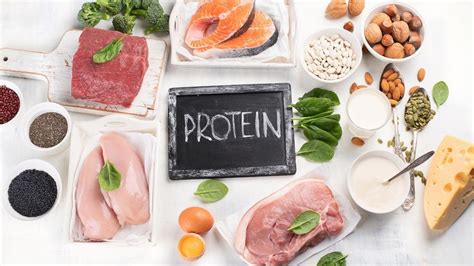 Chất Protein là gì Tìm hiểu chi tiết về vai trò và nguồn cung cấp