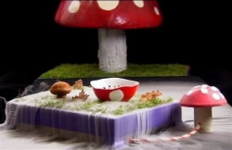 Psychedelic Mushrooms and Other Fabulous Feasts by Heston Blumenthal ...