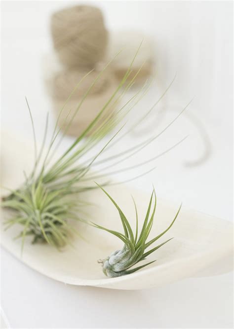 propagate images   png stickers wallpapers backgrounds