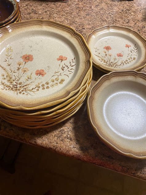 Mikasa Whole Wheat Jardiniere E 8016 Japan 10 5 In Dinner Plate Set Of