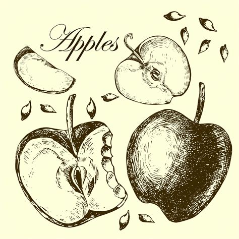 drawing apples 1