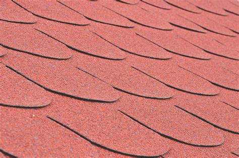 Repairing Vs Replacing Your Roof Willow Ash Roofing