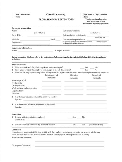 Printable New Hire 90 Day Probationary Period Template